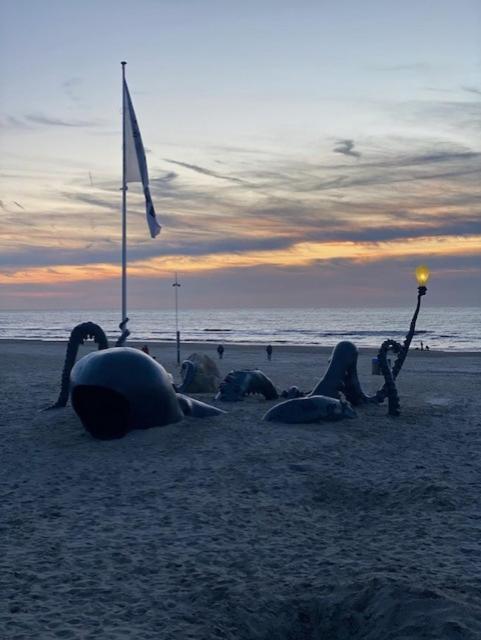 Depannemarkt De Panne Bagian luar foto